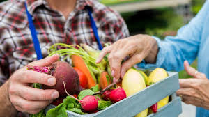 LES PRODUCTEURS PRÈS DE CHEZ VOUS