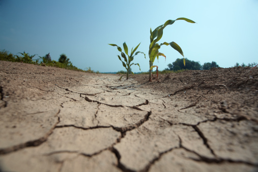 RESTRICTION OU INTERDICTION TEMPORAIRE DES PRELEVEMENTS ET USAGES DE L'EAU