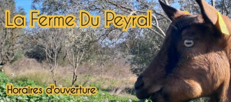 La Ferme du Peyral élevage chèvre fabrication fromage